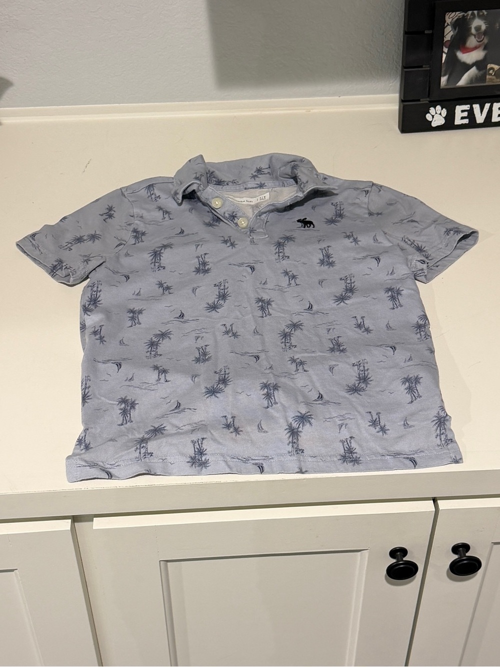 Light Blue Palm-Print Boys Polo Shirt